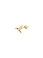 Archive Colibri Piercing