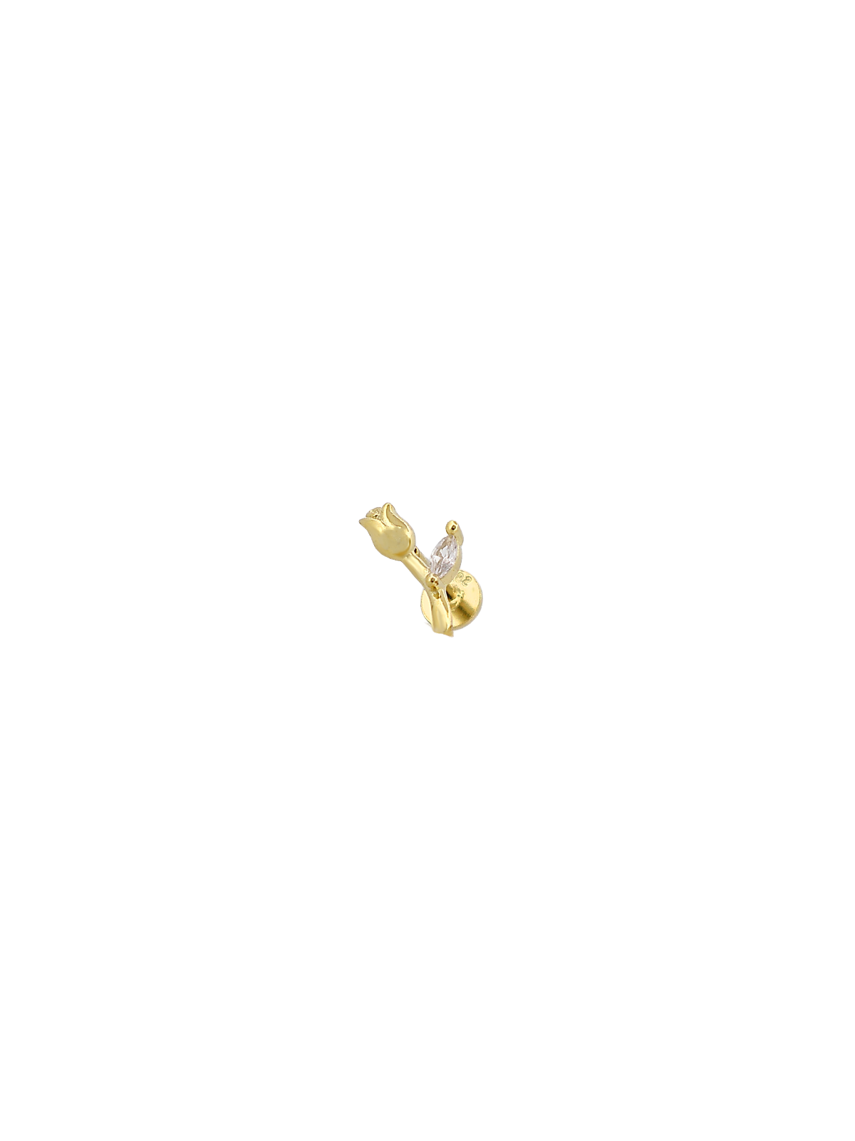 Gül Dalı Piercing