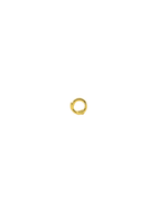 Micro Halka Piercing