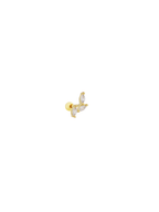Üç Markiz Sarmaşık Piercing